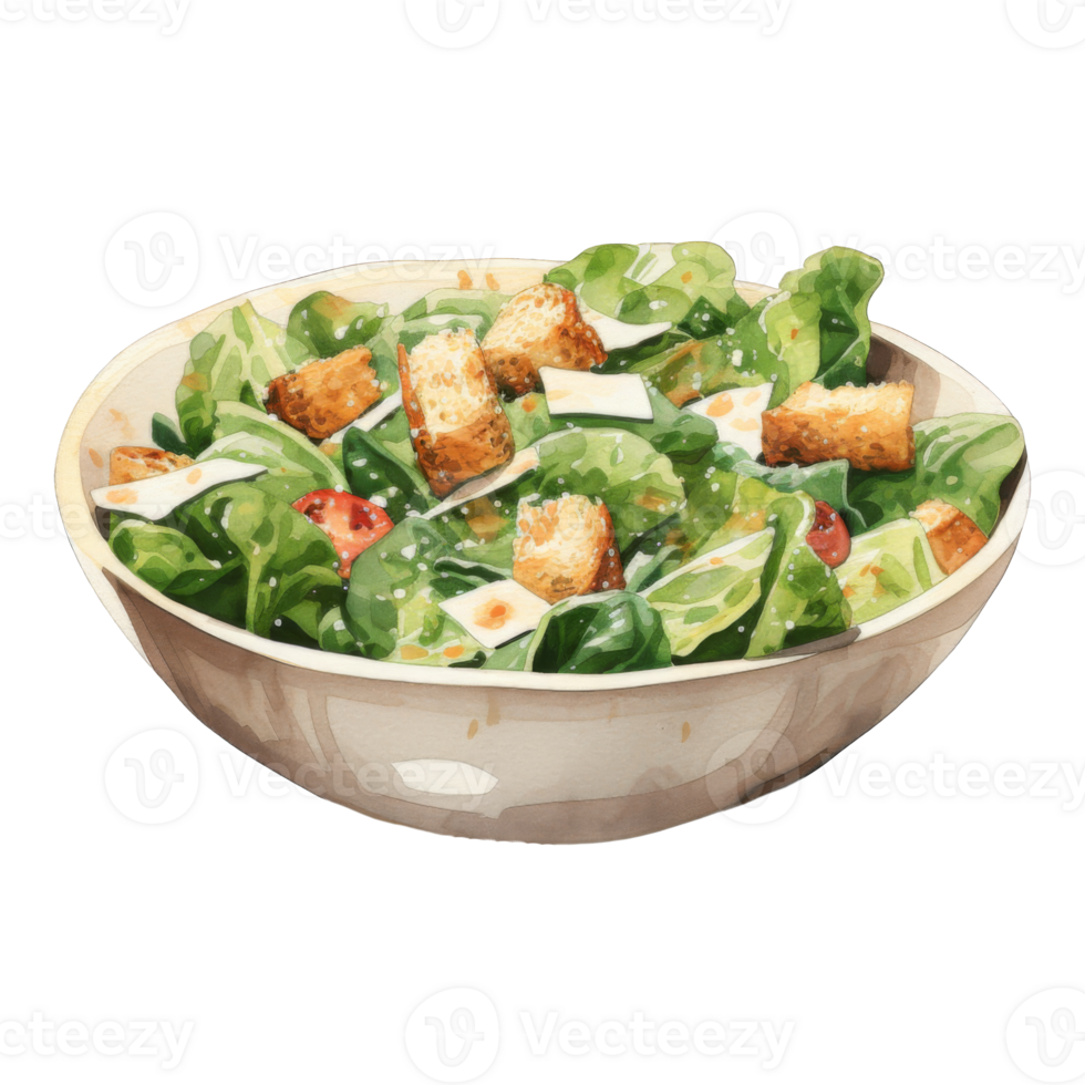 Watercolor Painting of a Bowl of Caesar Salad with Croutons and Cheese png