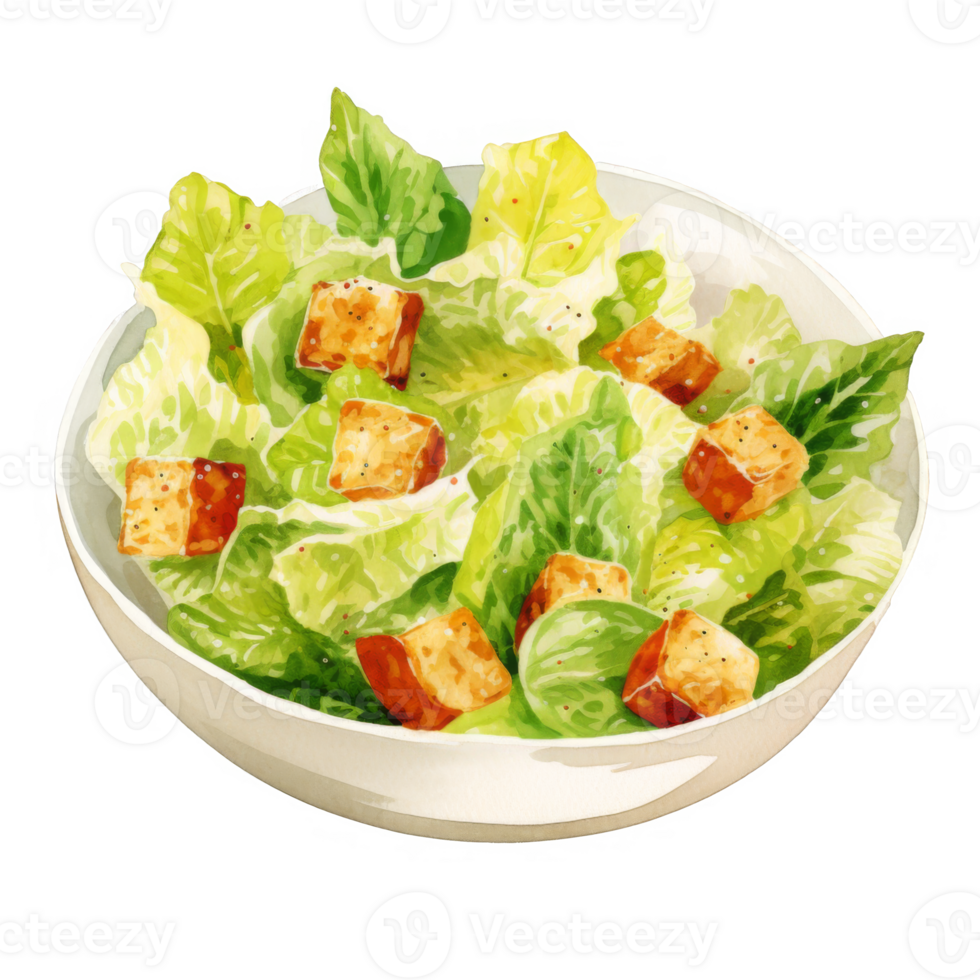 Watercolor Painting of a Bowl of Caesar Salad with Croutons png