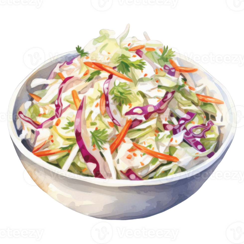 Vibrant Coleslaw Salad in a White Bowl, Fresh and Appetising png