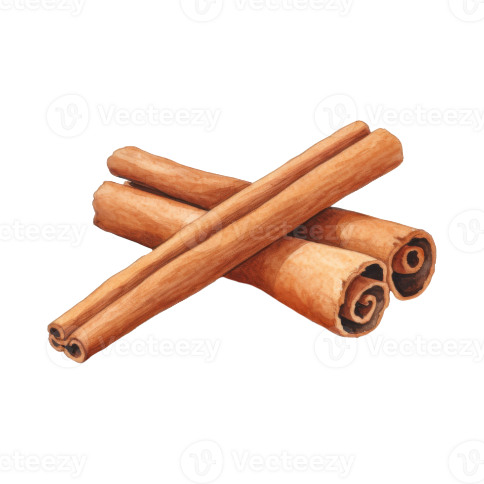 Aromatic Cinnamon Sticks, Watercolor Painting of Spice png