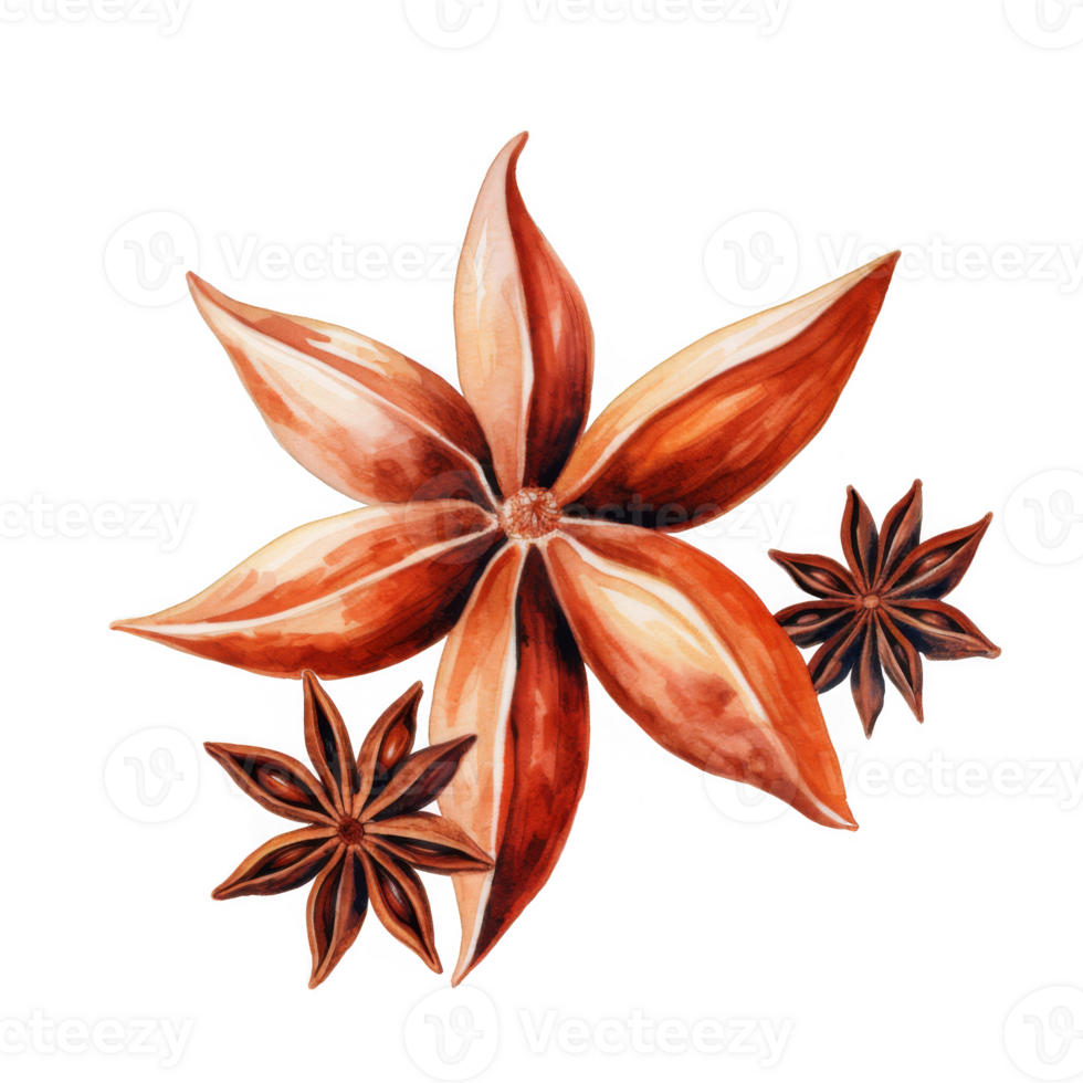 Watercolor Painting of Star Anise A Detailed CloseUp of Three Spices png