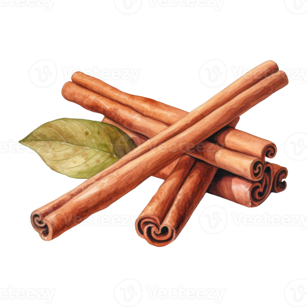 Watercolor Painting of Cinnamon Sticks with a Bay Leaf png