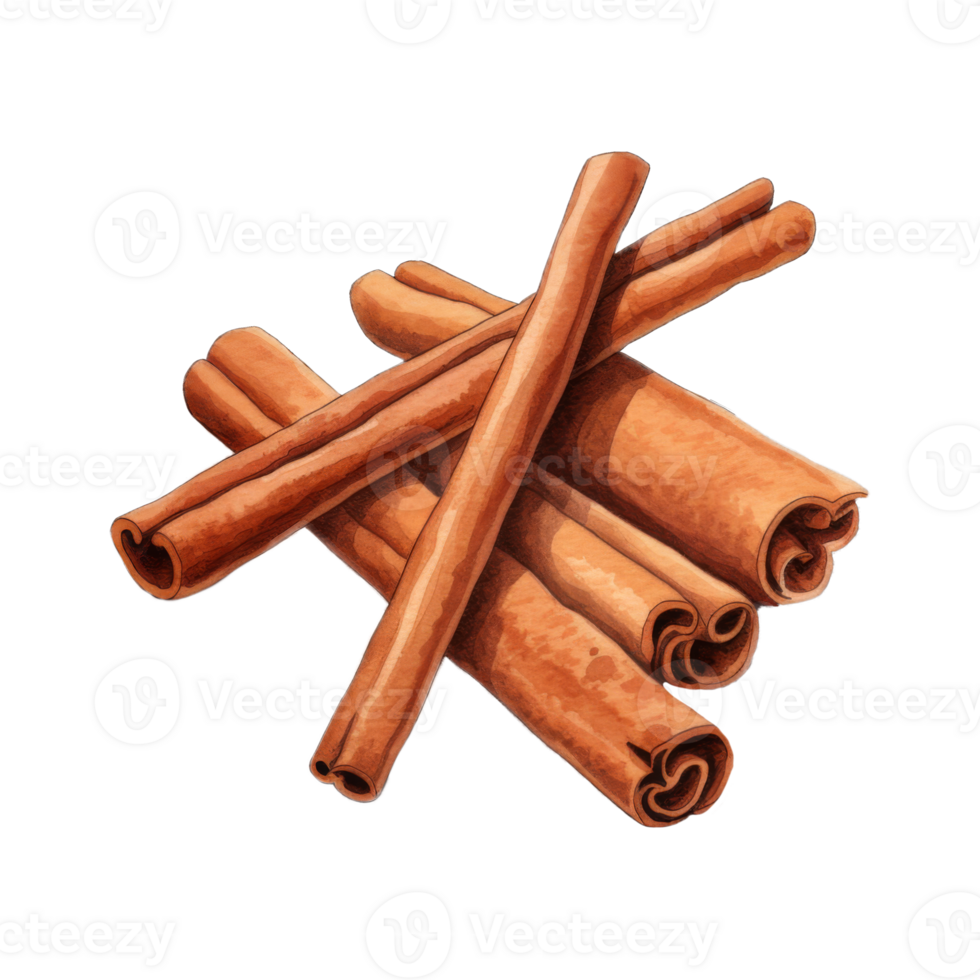 Watercolor painting of several cinnamon sticks on parchment paper png