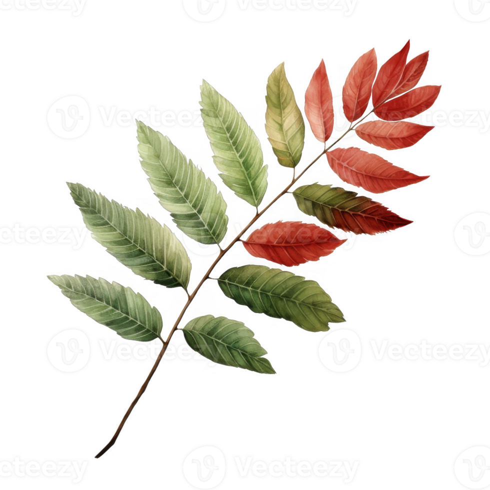 Stylized illustration of a branch with green and red leaves, vibrant colors. png