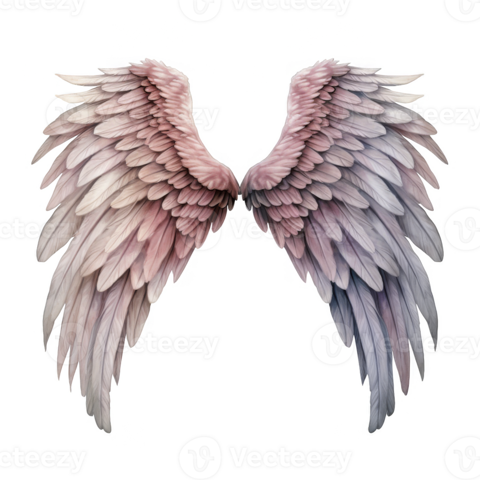 Pair of Delicate, Pastel-Colored Angel Wings with Detailed Feathers png
