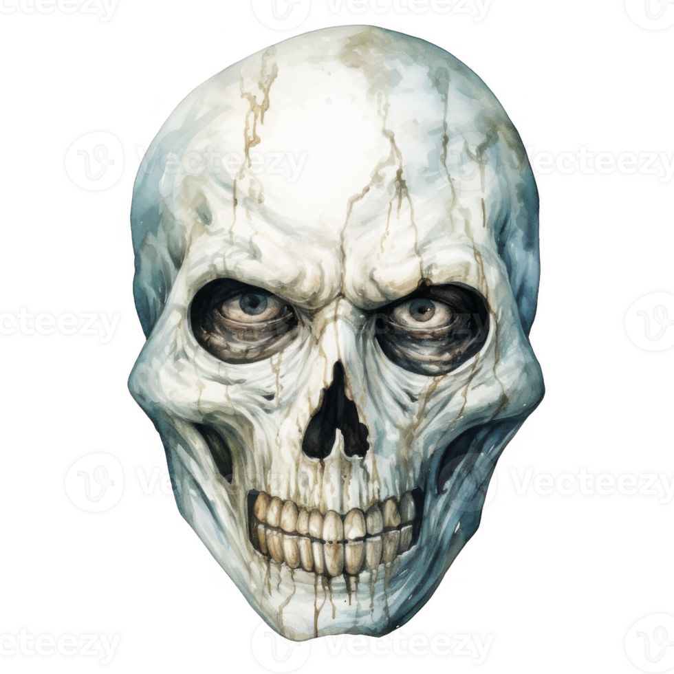 Watercolor Painting of a Ghastly, Weathered Skull with Intense Gaze png