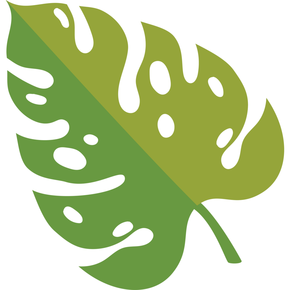 exotic leaf plant foliage png