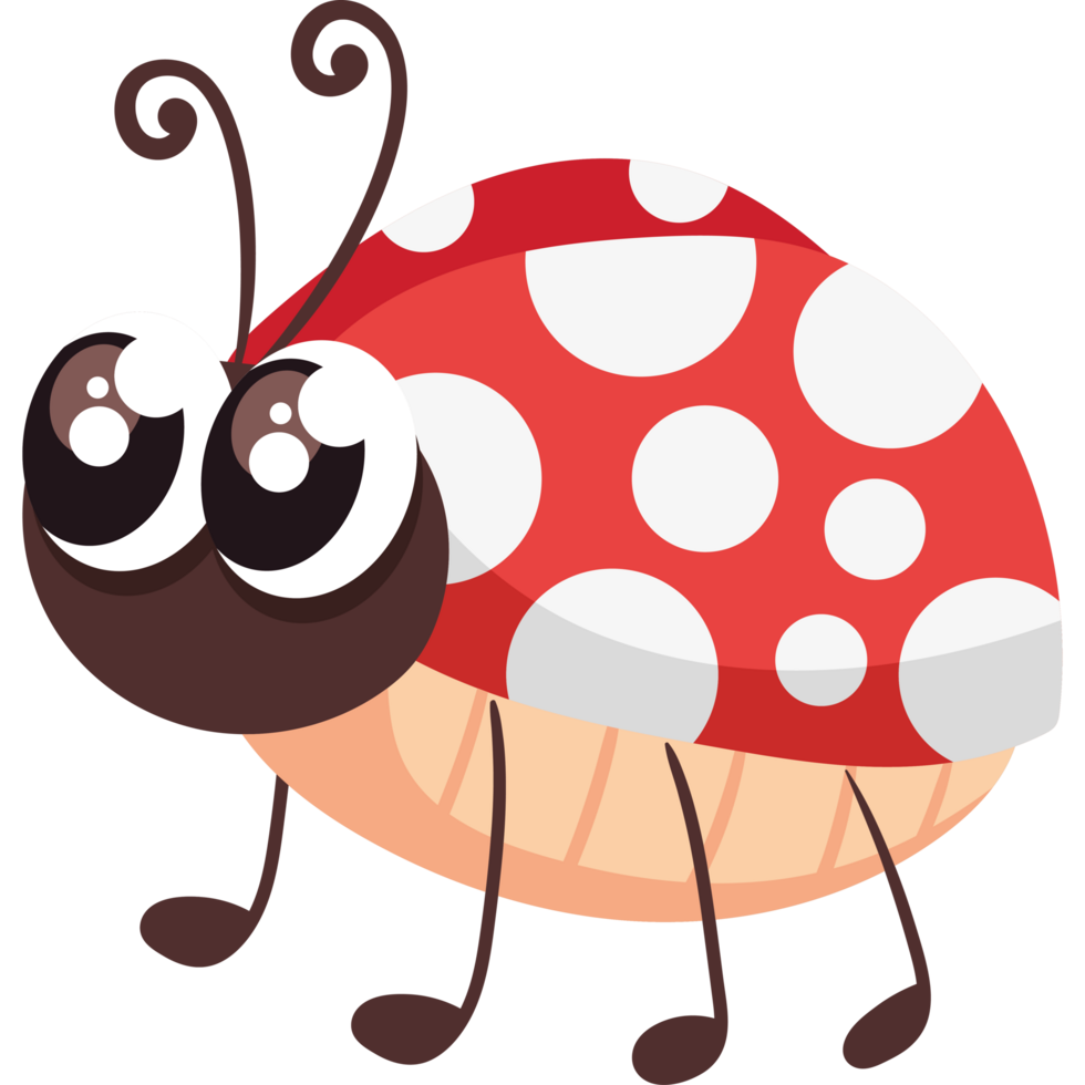 cute ladybug insect png