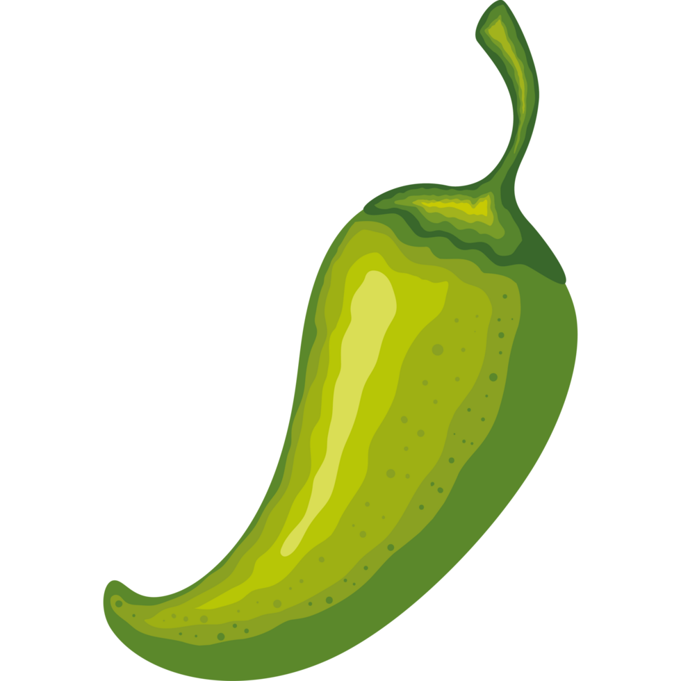 chili vegetable and spices for healthy cooking png