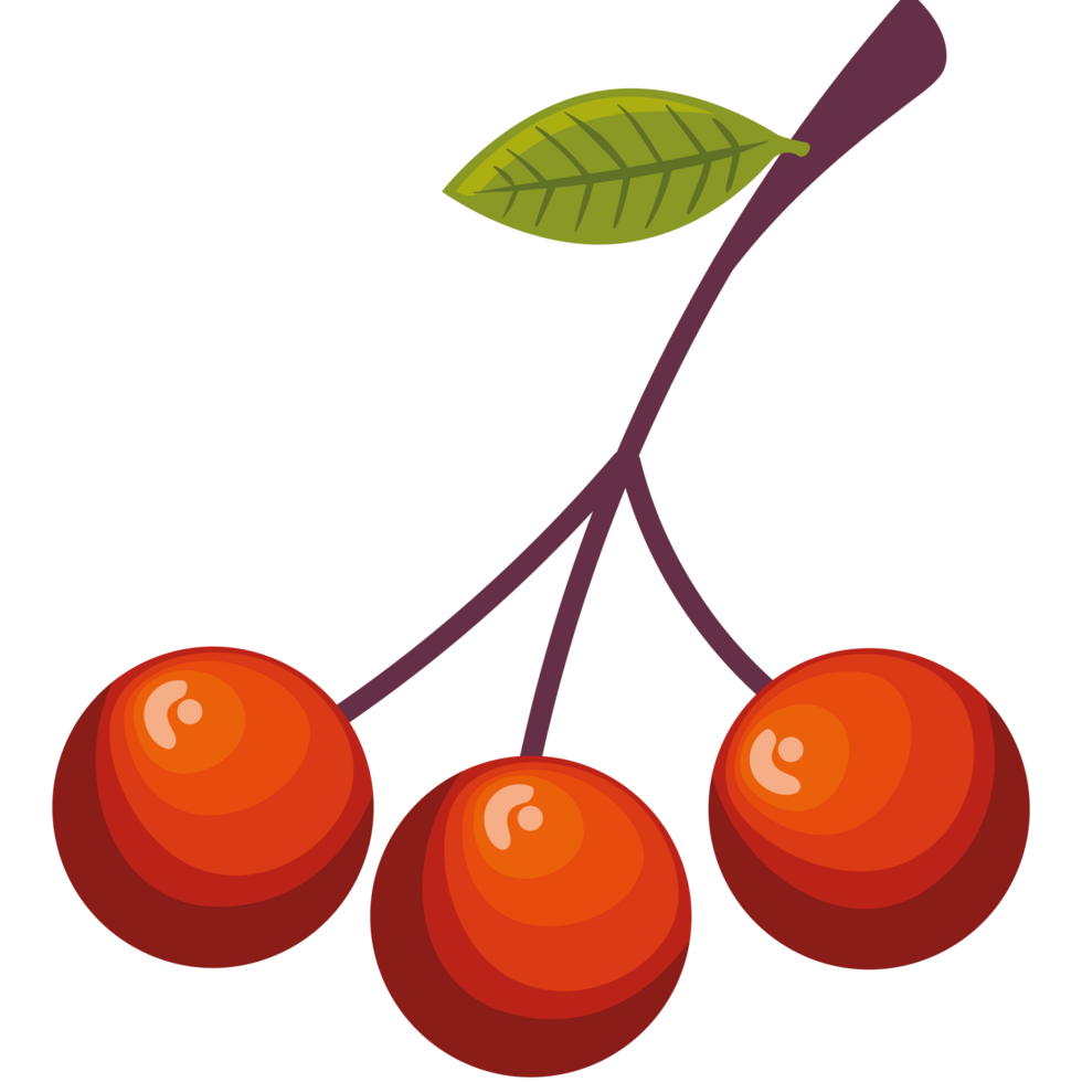 autumn berries tree icon png