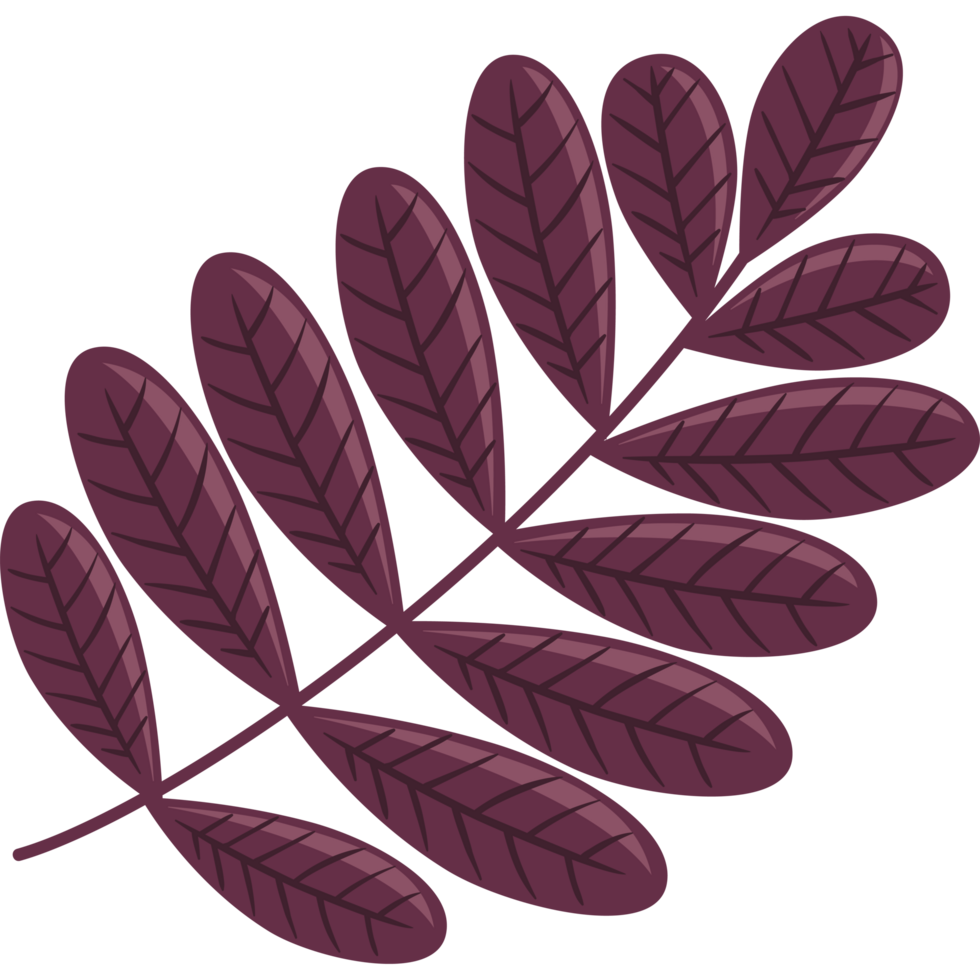 autumn branch tree icon png