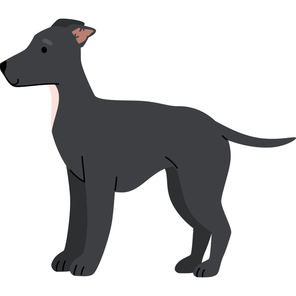 dog side view png