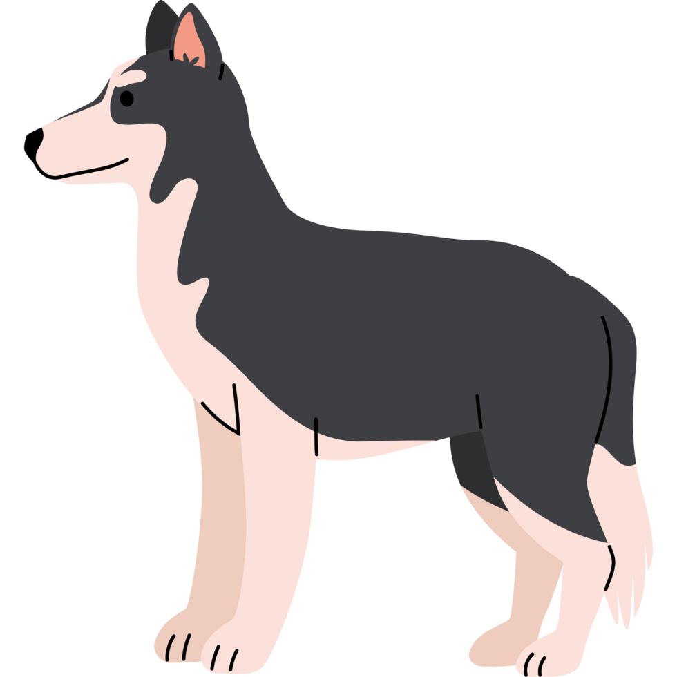 dog siberian husky png