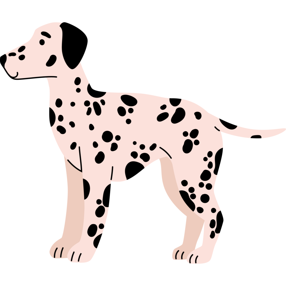 dog breed dalmatian png