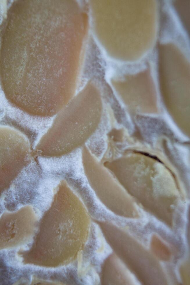 texture of tempeh slices photo