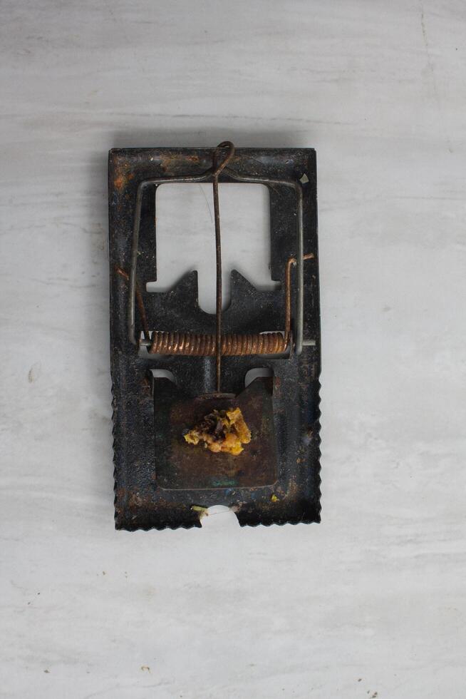 The mousetrap will automatically clamp when the bait is eaten photo