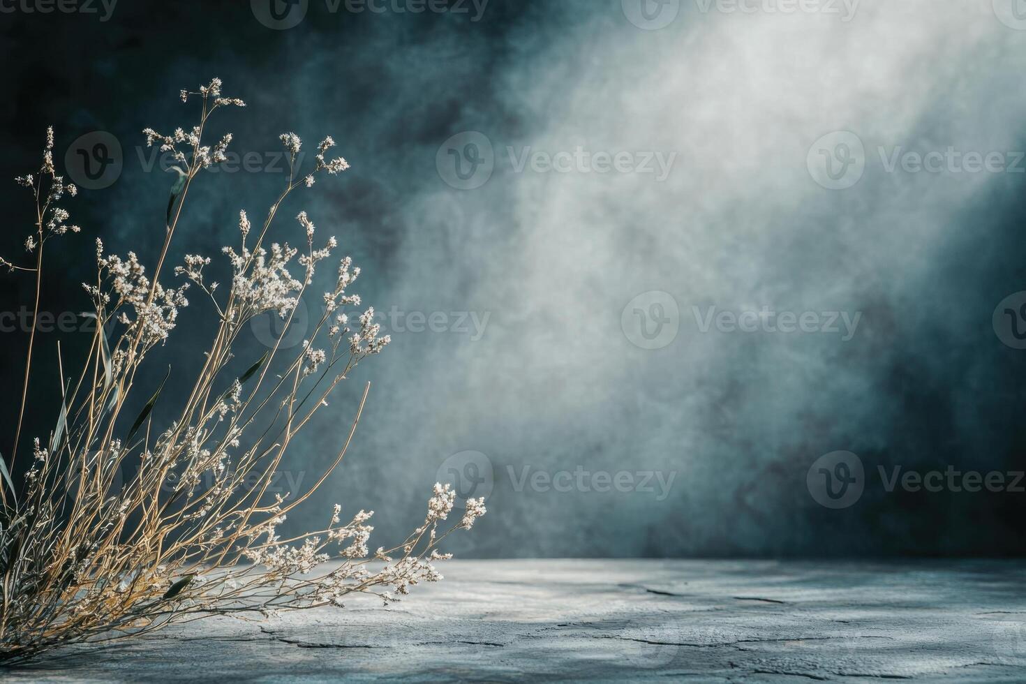 A gray textured table top with a dried flower and a light source to the right. photo