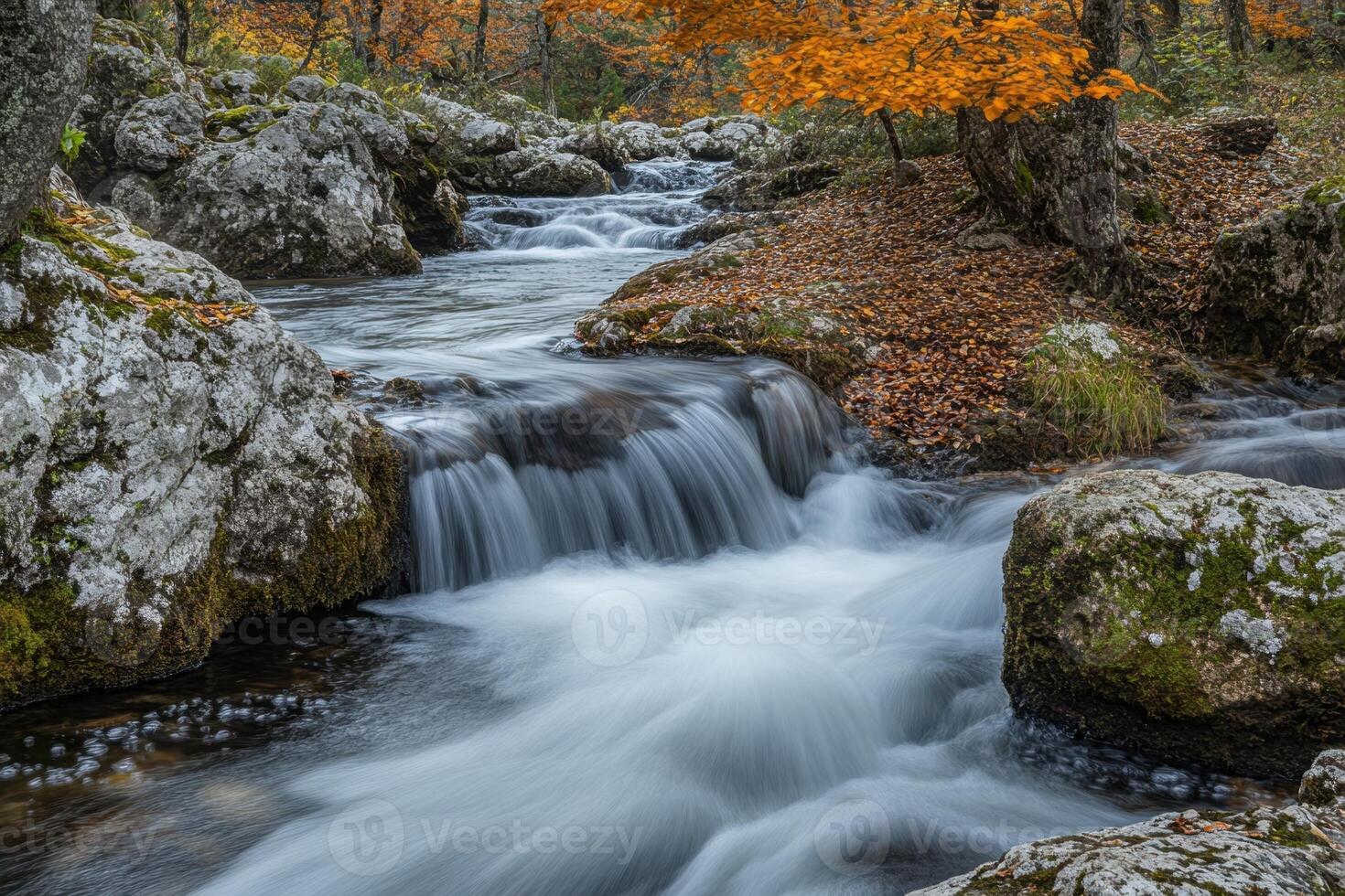 Tranquil creek flowing over mossy rocks with an autumnal backdrop. photo
