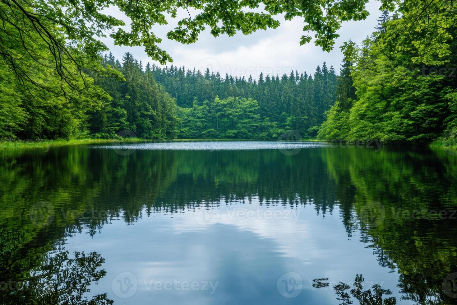 Tranquil forest lake with mirror-like reflection of trees. photo