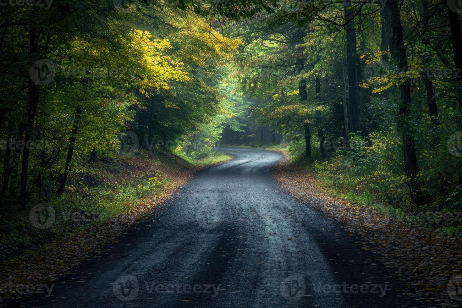 Winding road through misty forest. photo