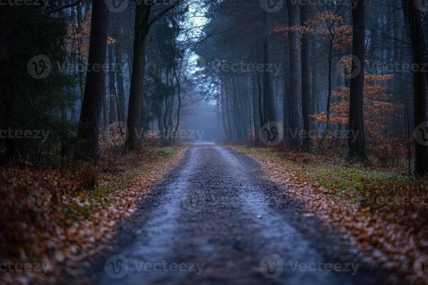A dirt road through a misty forest. photo