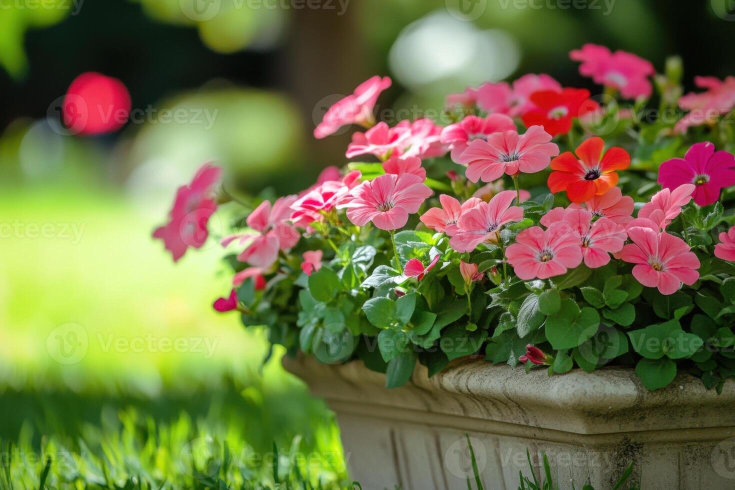 A vibrant bouquet of pink and orange flowers blooms in a white planter, set against a lush green background. photo