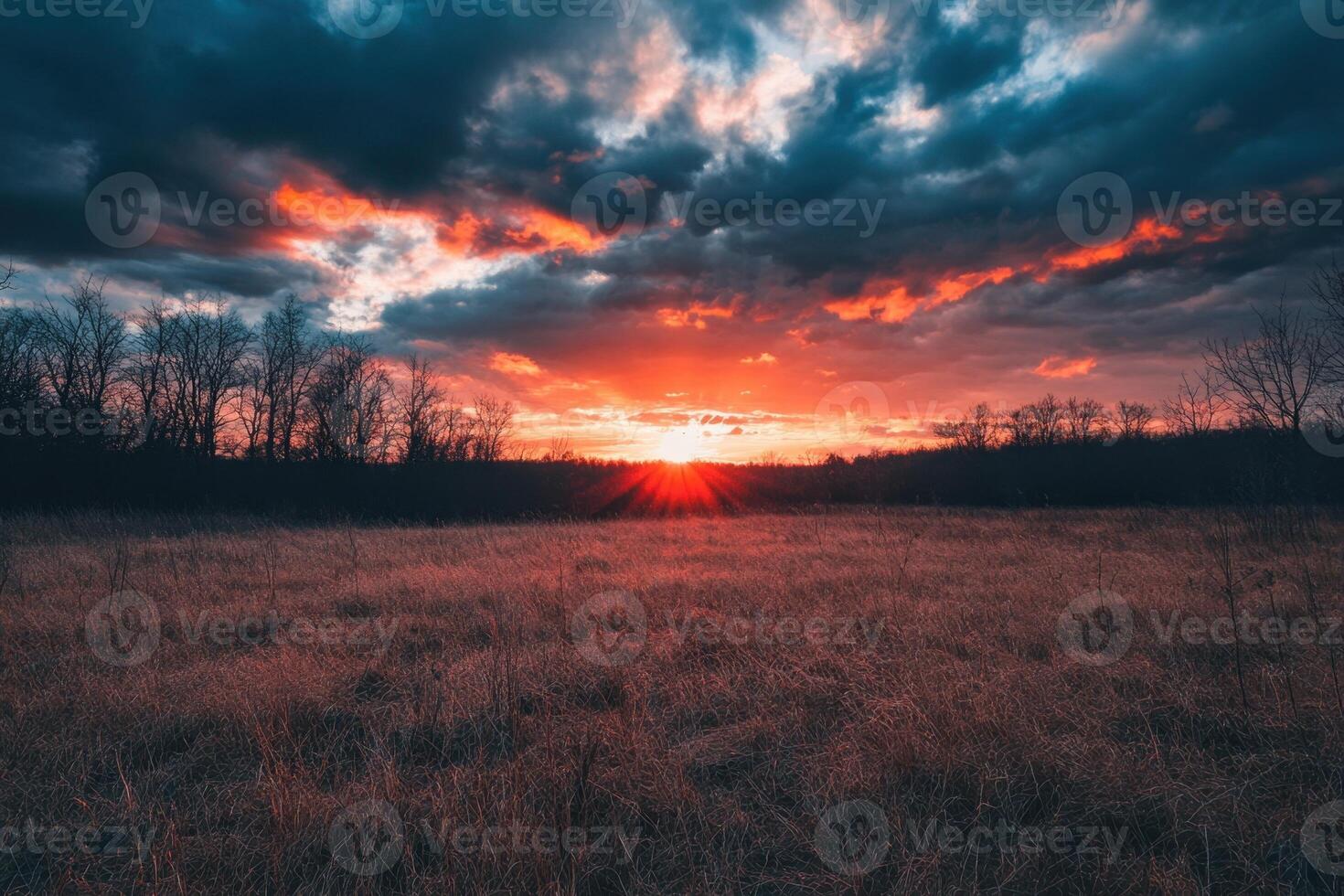Dramatic sunset over field with trees in silhouette. photo