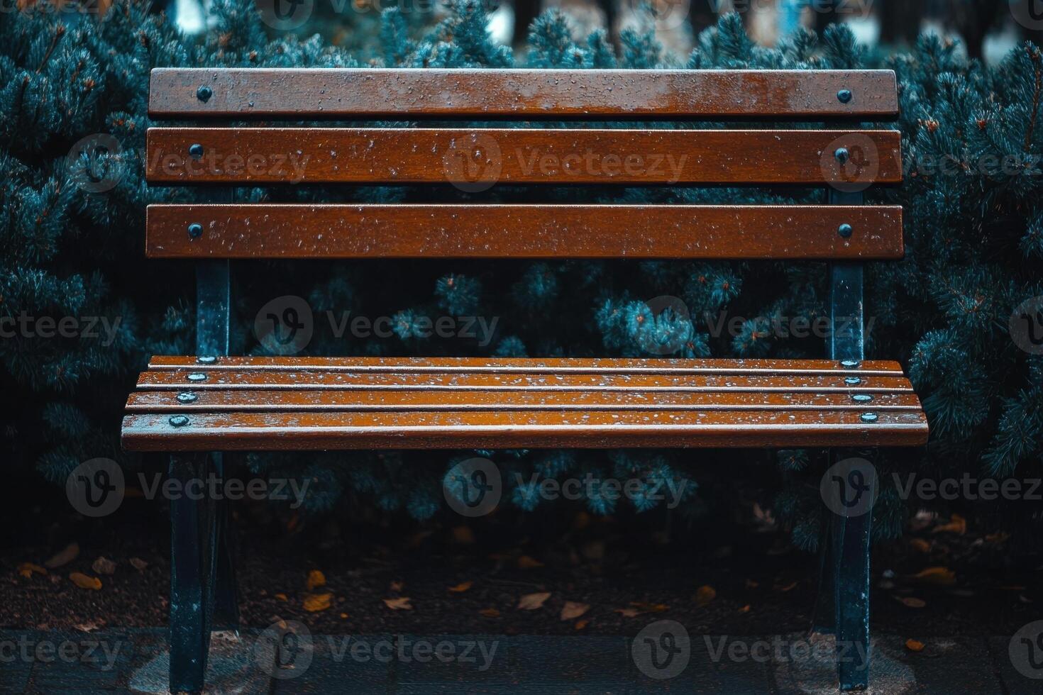 Empty wooden park bench with green foliage in the background. photo