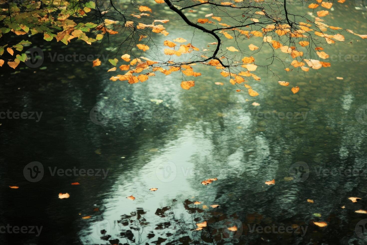 Golden leaves on branches over calm, still water with reflections. photo