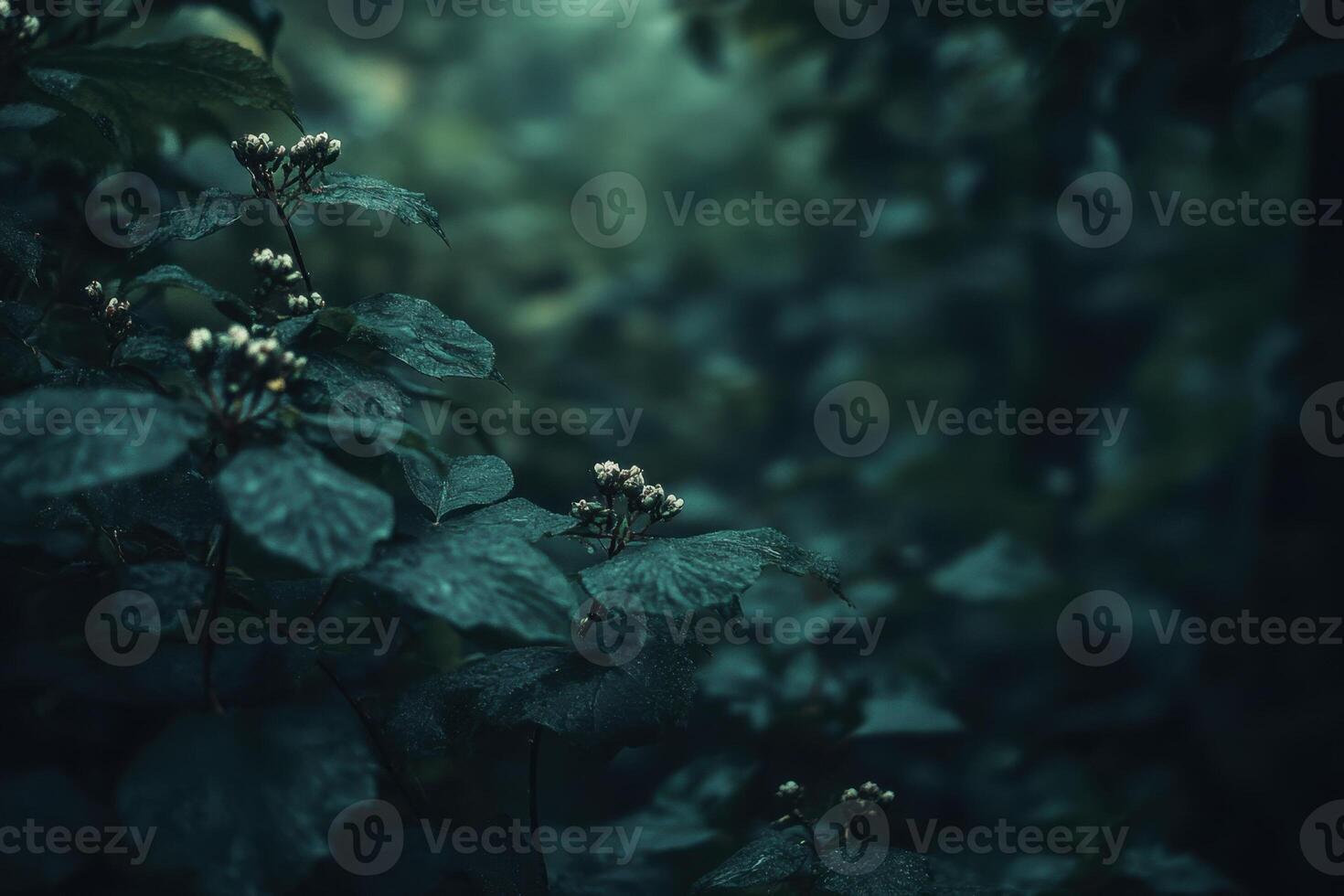Lush green foliage with water droplets on leaves in a misty forest. photo