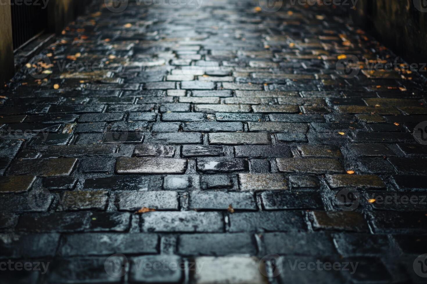 Wet cobblestone path after rain. photo