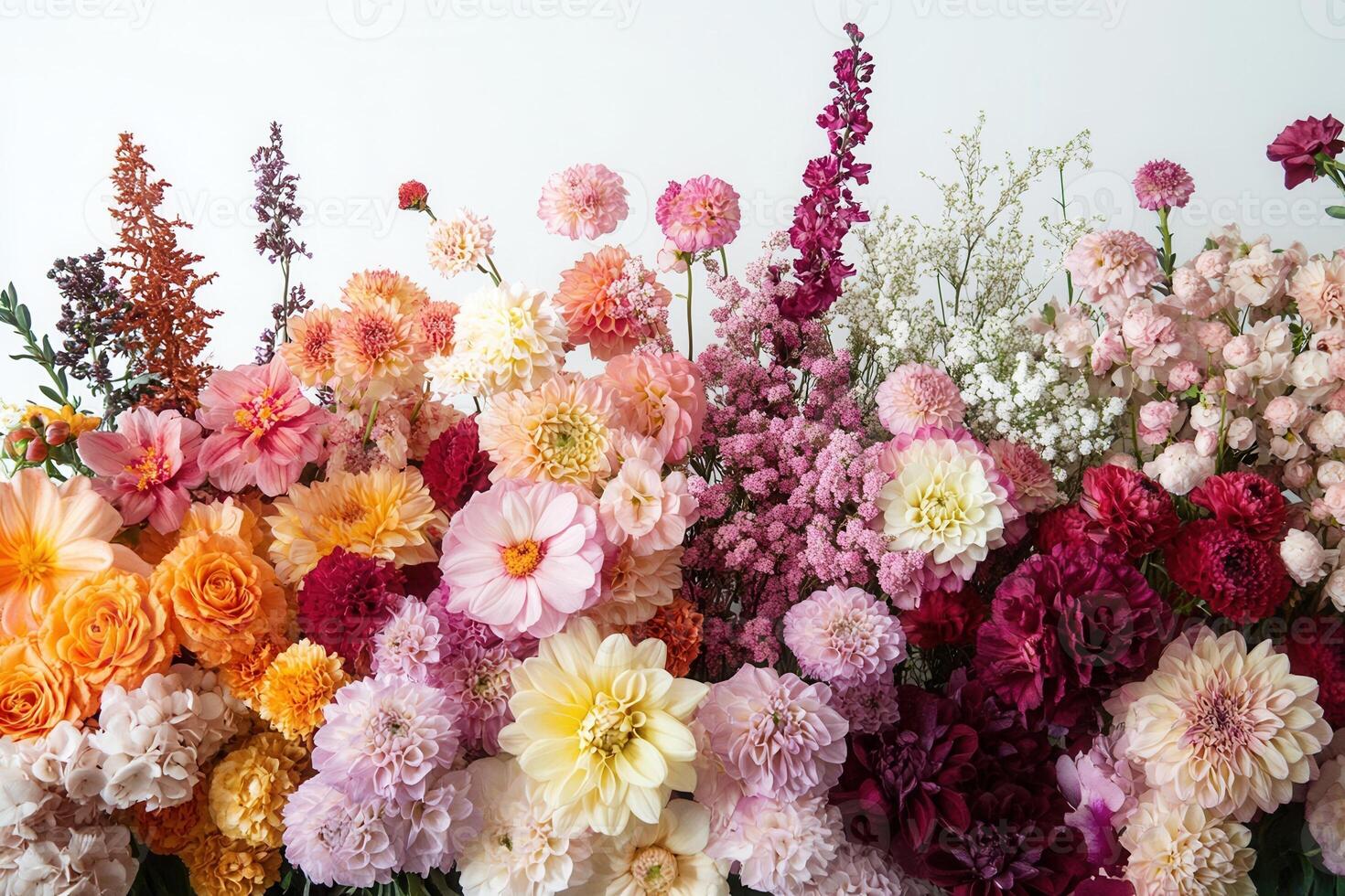A vibrant arrangement of colorful flowers against a white backdrop, showcasing a beautiful gradient of hues from orange to pink to red. photo