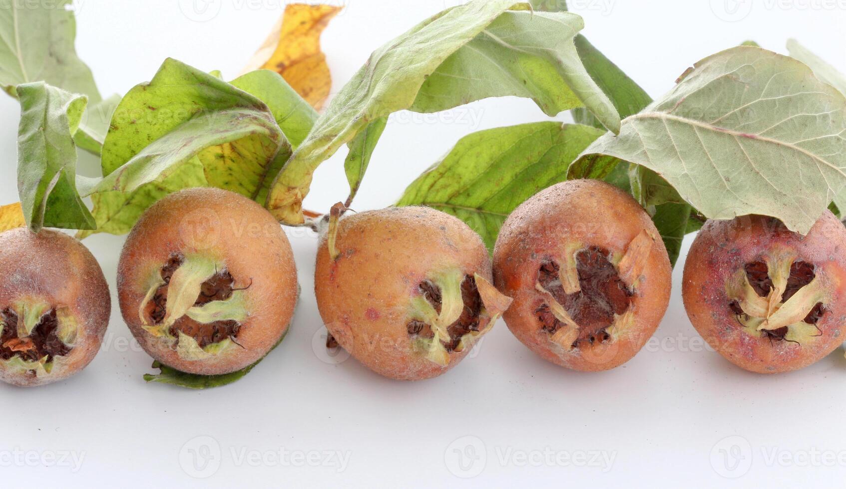 unripe medlar with leaf on white background photo