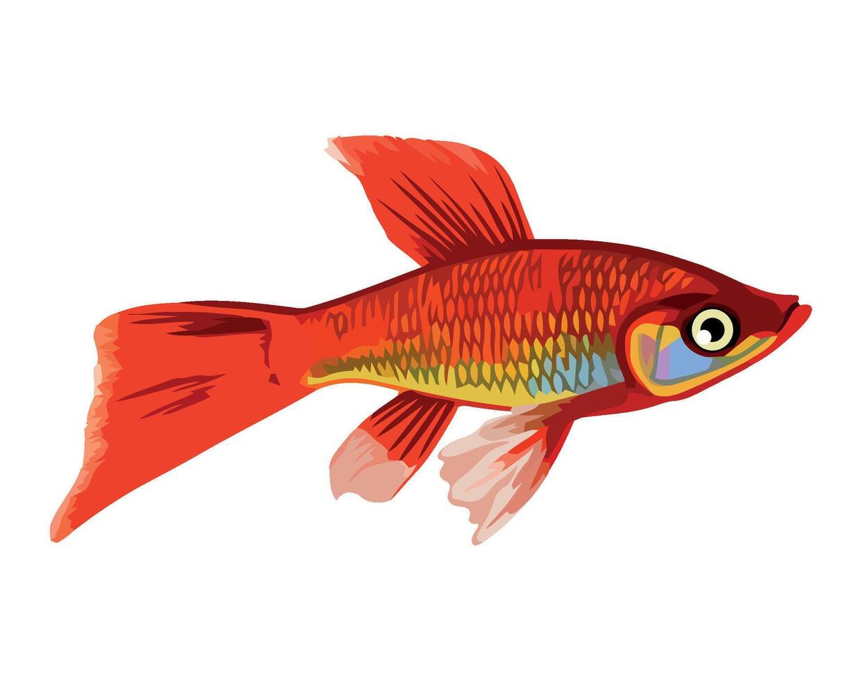 fish swimming on white background icon isolated vector