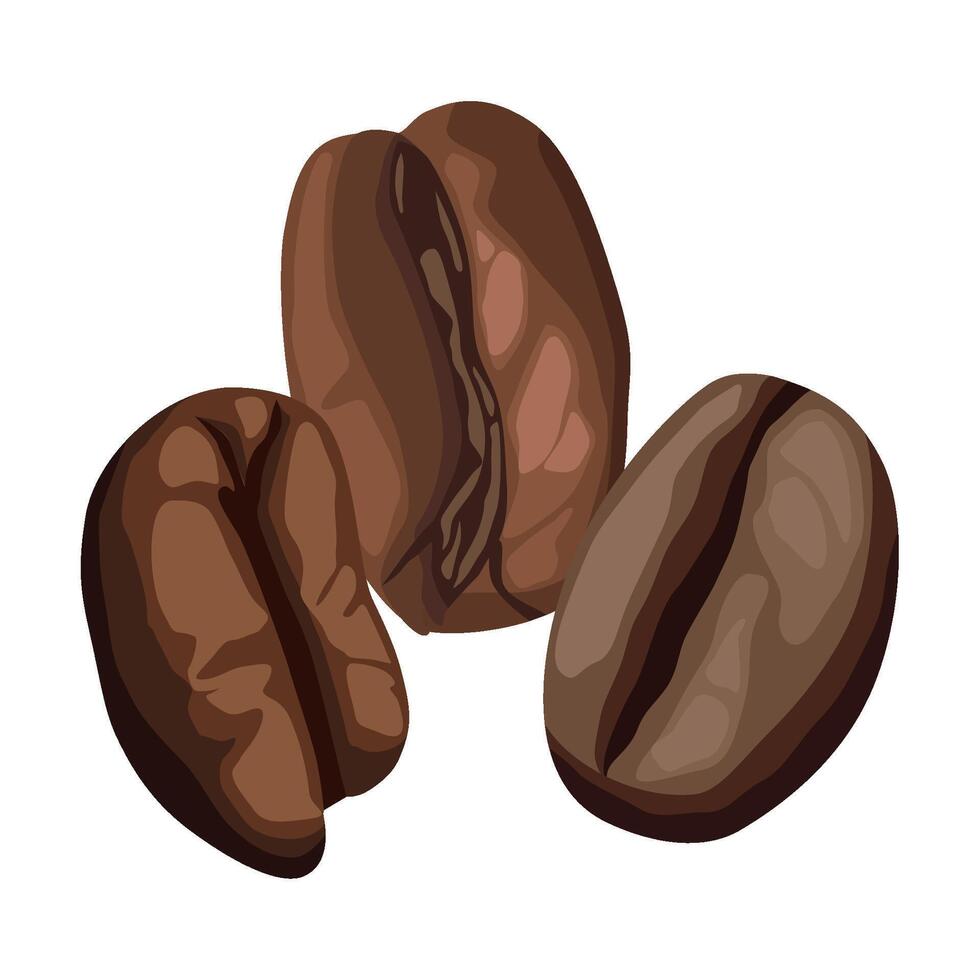 coffee dry beans icon isolated vector
