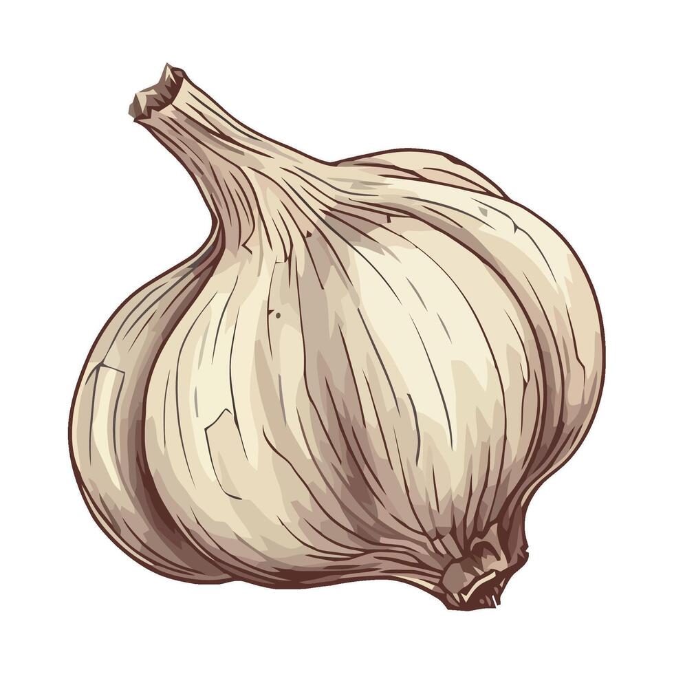 Fresh organic garlic a healthy gourmet seasoning image vector
