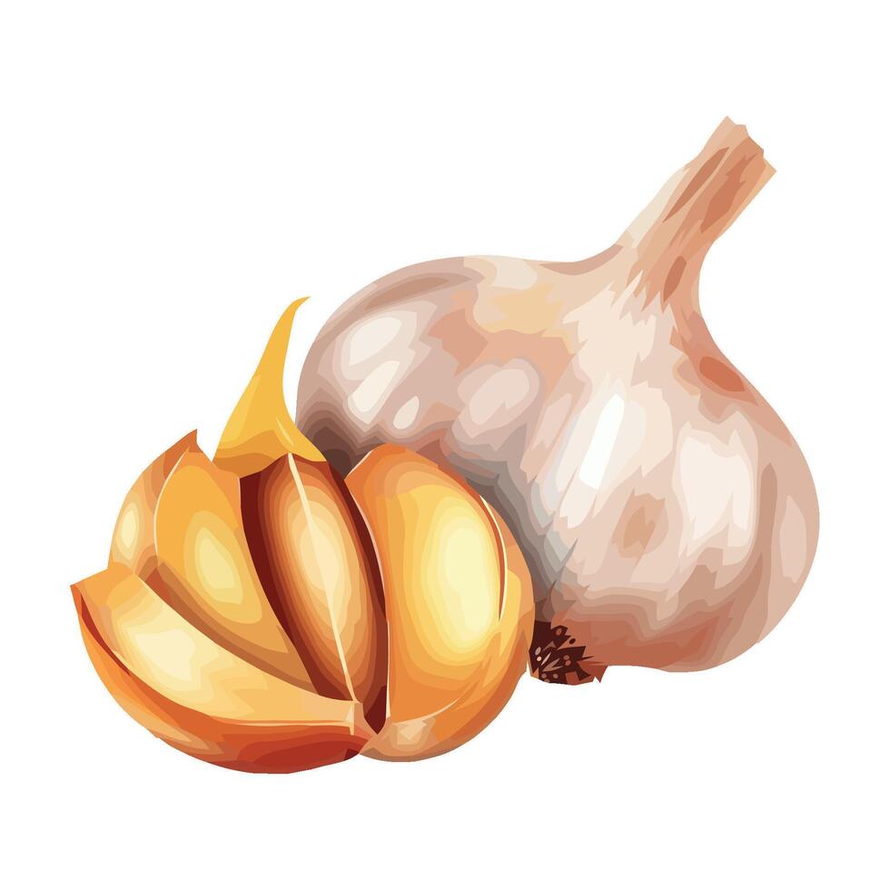 Fresh organic vegetable garlic for healthy eating icon isolated vector