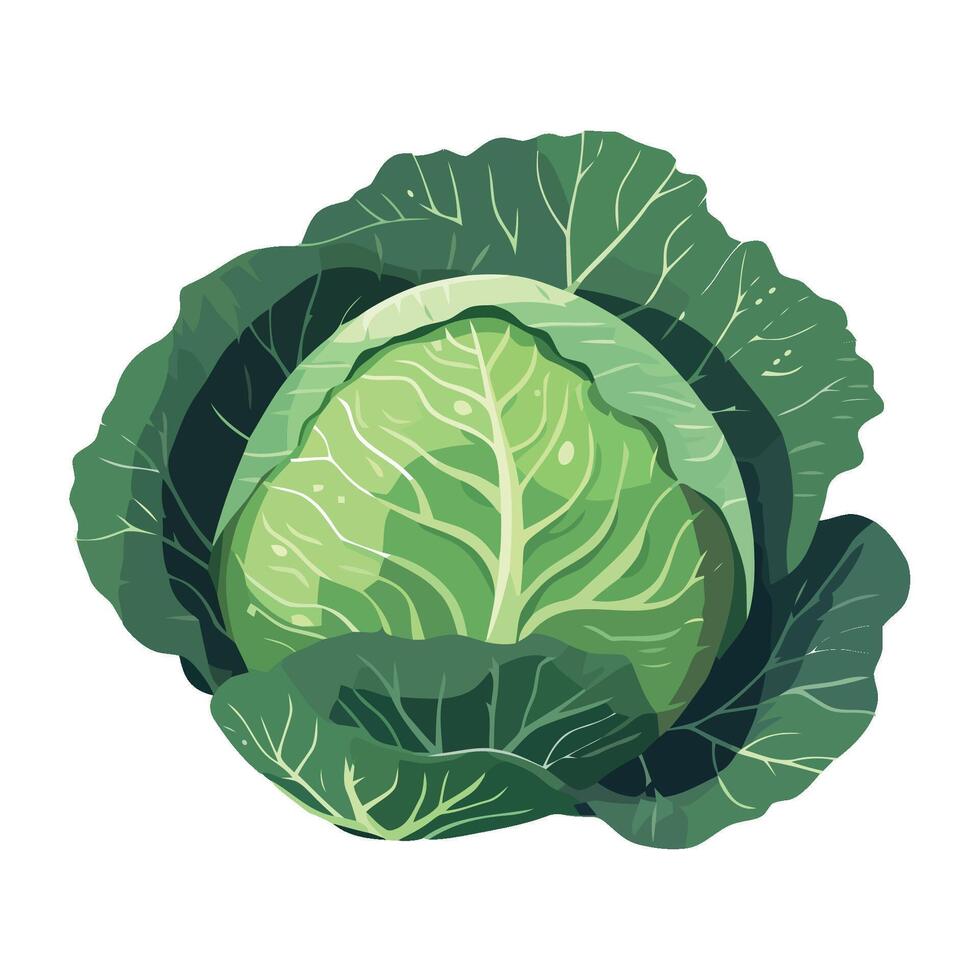 Fresh vegetarian kale salad a summer gourmet meal vector