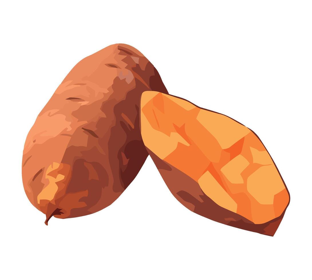 Two sweet potatoes on a white background vector