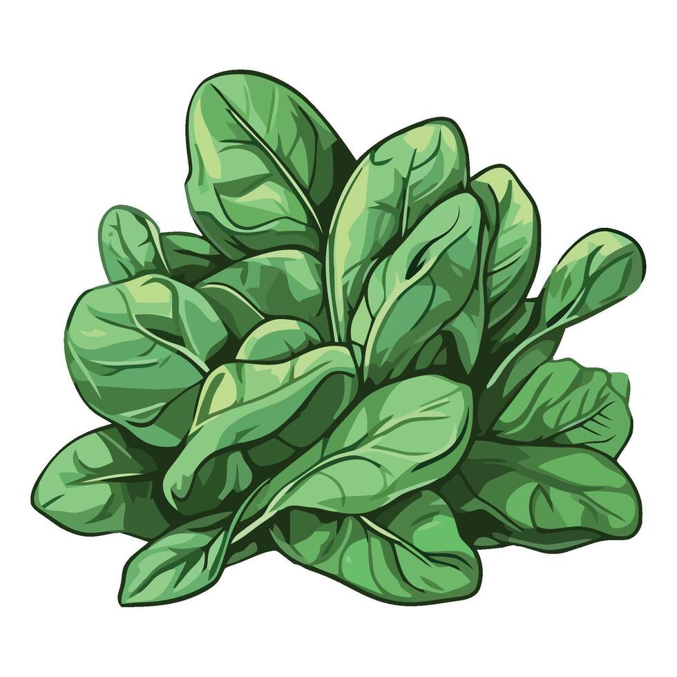 Fresh organic herbs and vegetables for healthy image vector