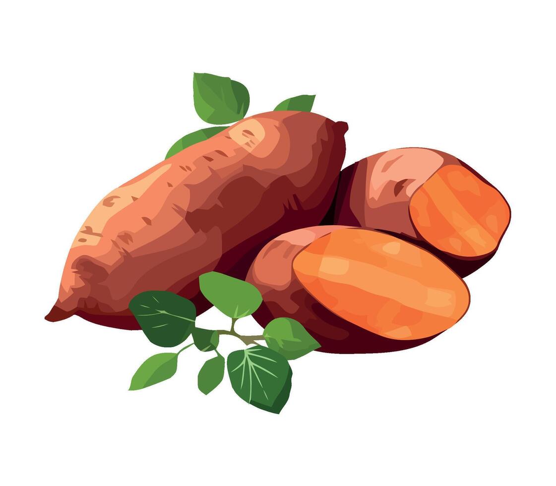 Sweet potatoes with leaves on a white background vector