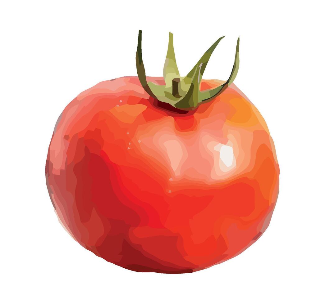 Red-cheeked tomatoes icon vector