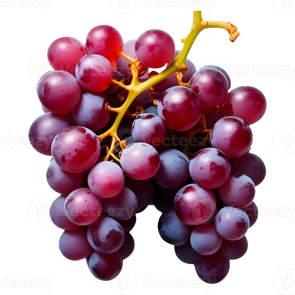 Red grapes on a branch with no background png
