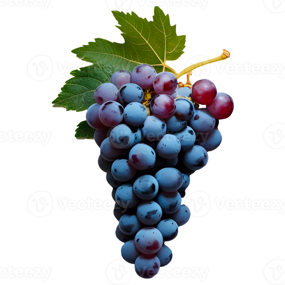 Fresh Red Grapes with No Background for Design Use png
