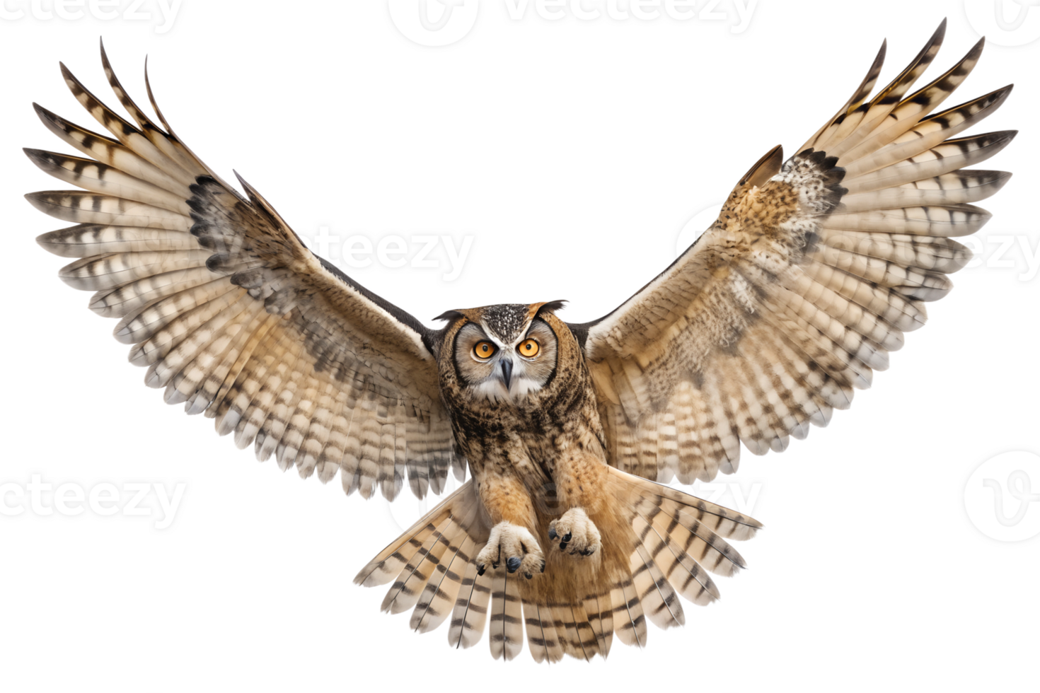 Front view, Great Horned Owl is spreading its wings and flying isolated on a transparent background png