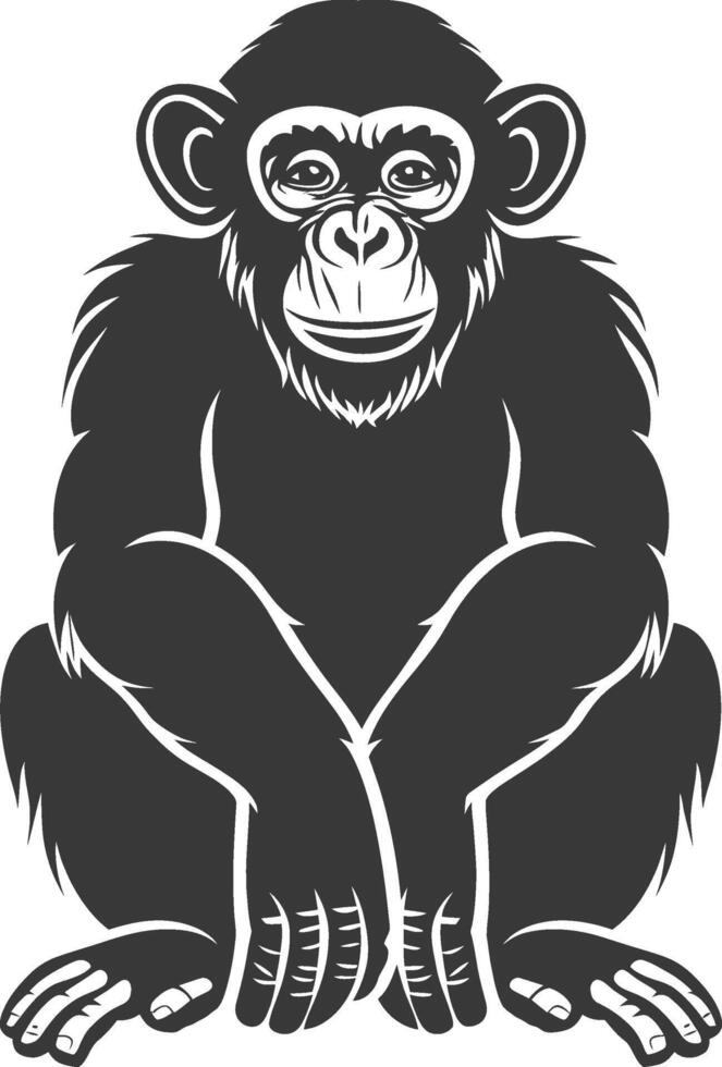 A black and white monkey sitting on the ground vector