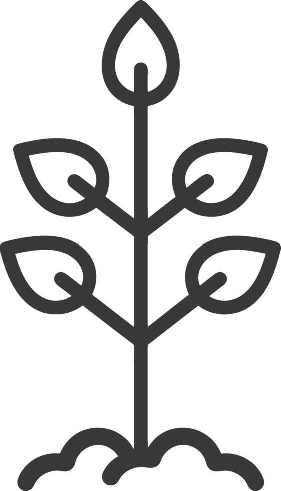 A plant with leaves growing out of it vector