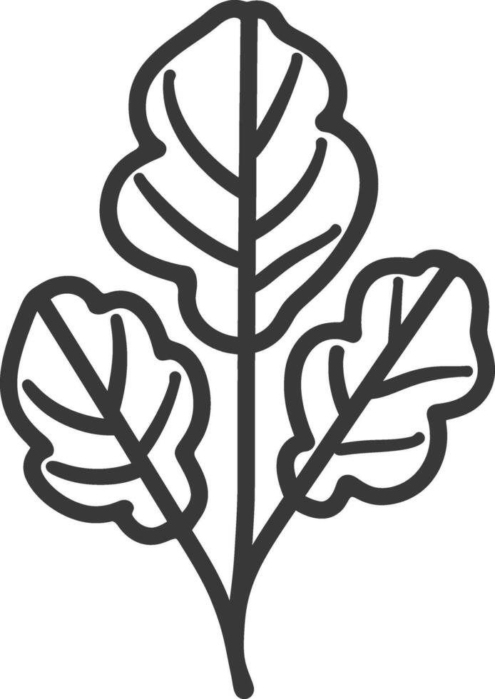 A black and white illustration of a leaf vector