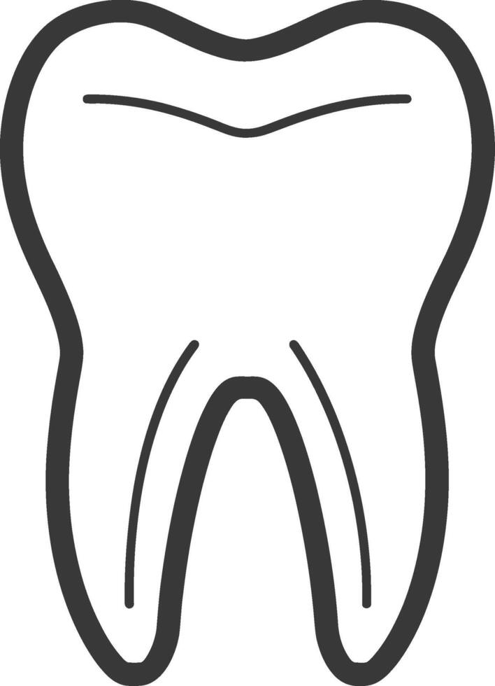 Line drawing of a single tooth vector