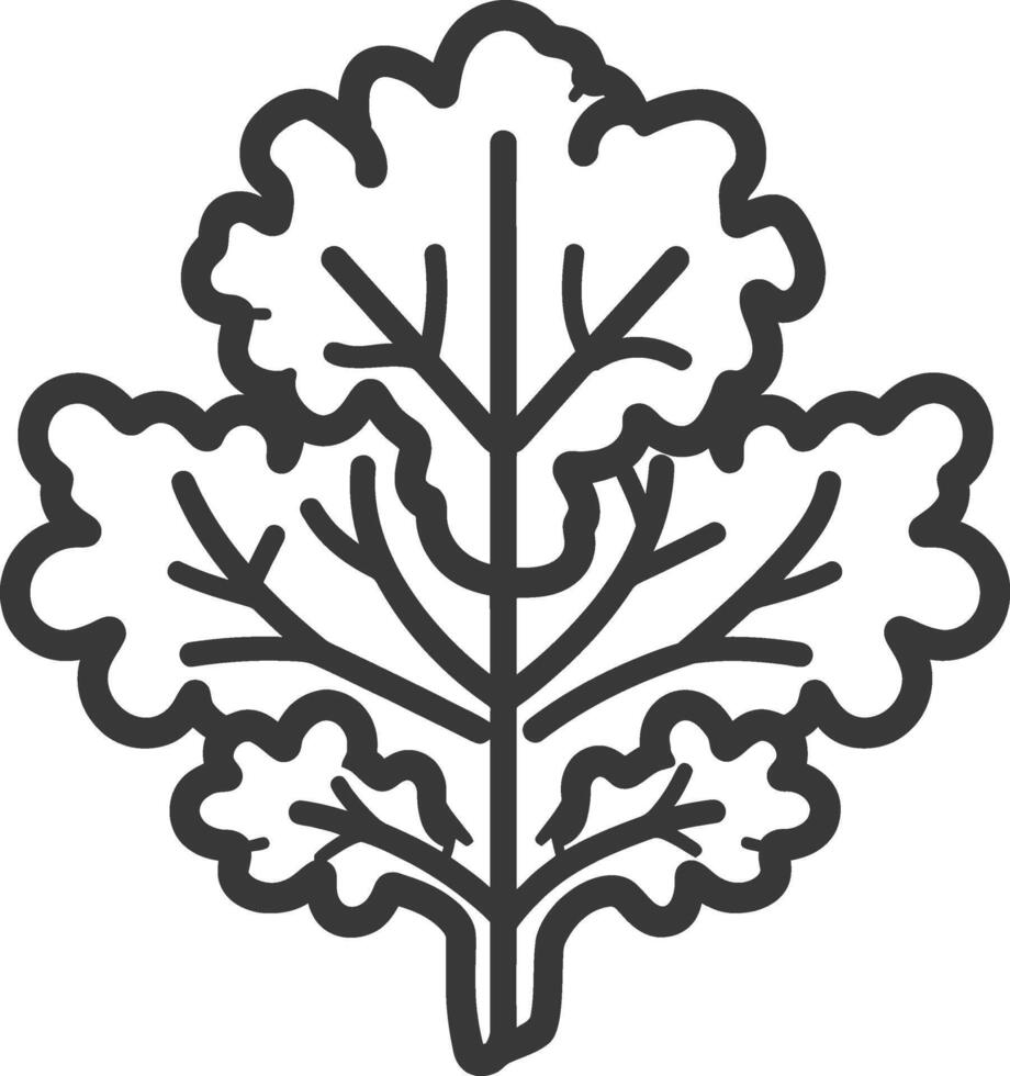 A black and white illustration of a leaf vector